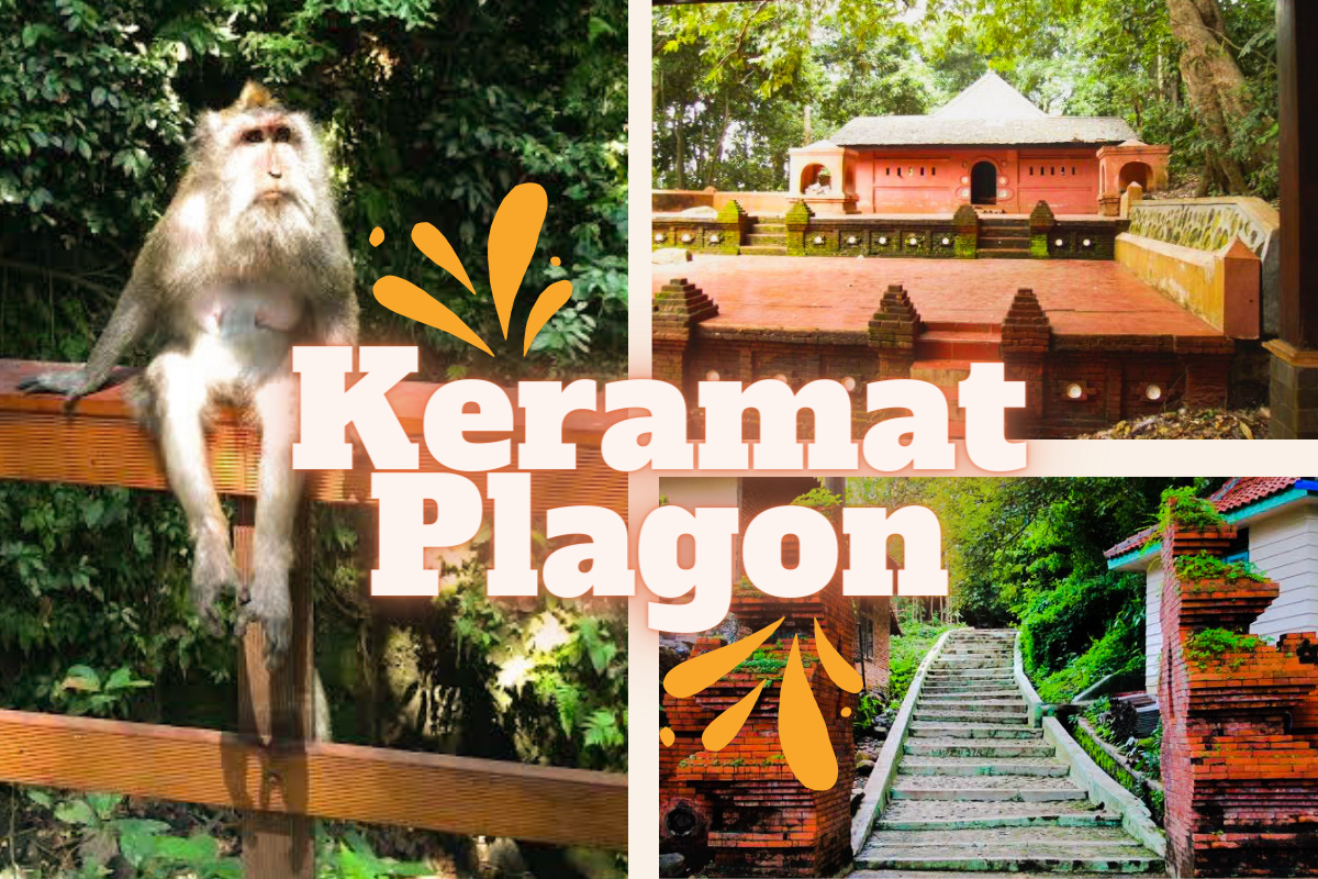 Wisata Keramat Plangon, Hadirkan Kelucuan Monyet Liar dan Kisah Dua Pangeran Kesultanan Cirebon