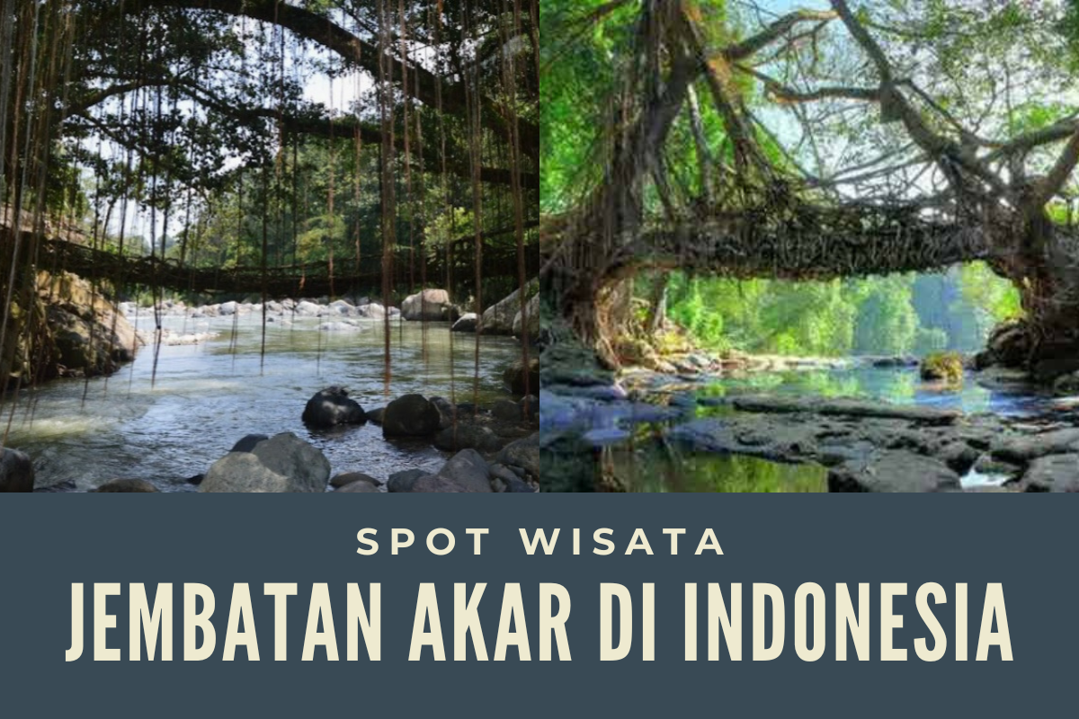 Deretan Spot Wisata Jembatan Akar Terunik di Indonesia, Salah Satunya Ada di Tasikmalaya