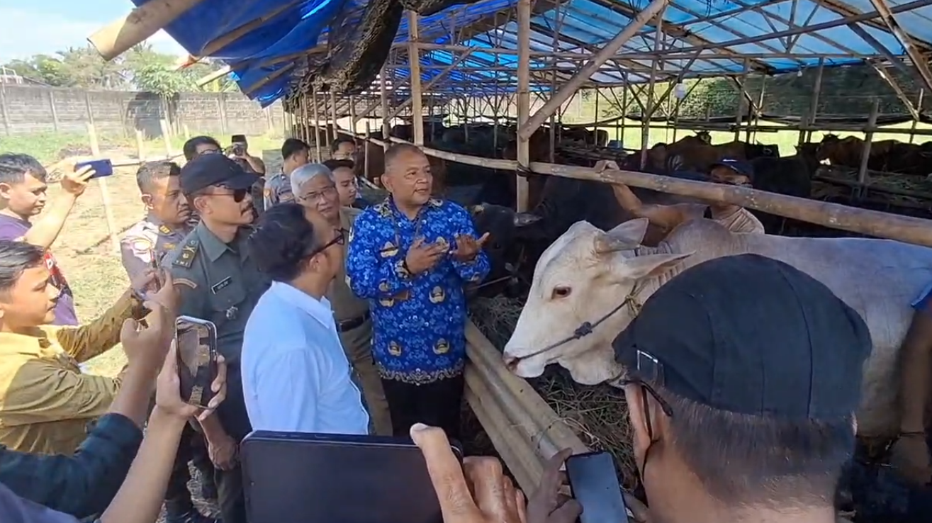 Pemkot Pastikan Hewan Kurban Sehat dan Aman Dikonsumsi, Tim Khusus Terus Monitoring hingga Hari H 