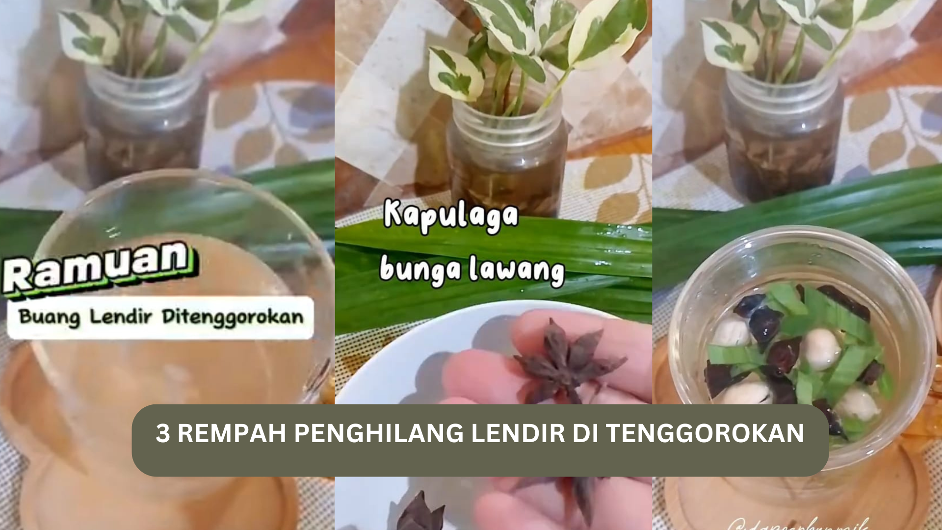 Ramuan Penghilang Lendir di Tenggorokan, Bahan-Bahan Tersedia di Dapur, Begini Cara Buatnya...