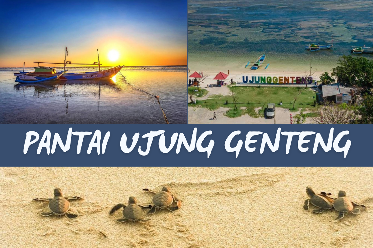 3 Daya Tarik Pantai Ujung Genteng, Bisa Melihat Tempat Penangkaran Penyu 