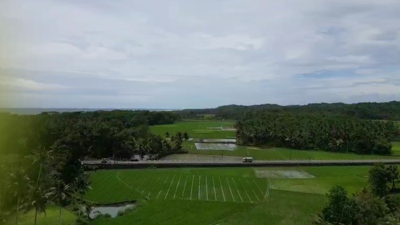 Bupati Dorong Pembangunan Bendung dan Tanggul dI Selatan, Libatkan Ahli Tanam Padi Varietas Tangguh 