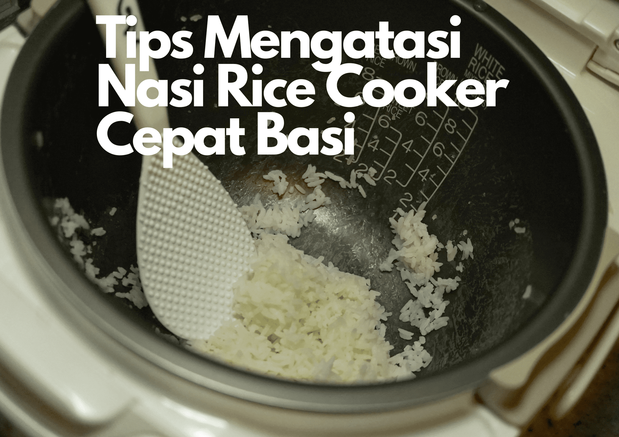 Tips Mengatasi Nasi Rice Cooker Cepat Basi, Ternyata Cukup Lakukan Ini