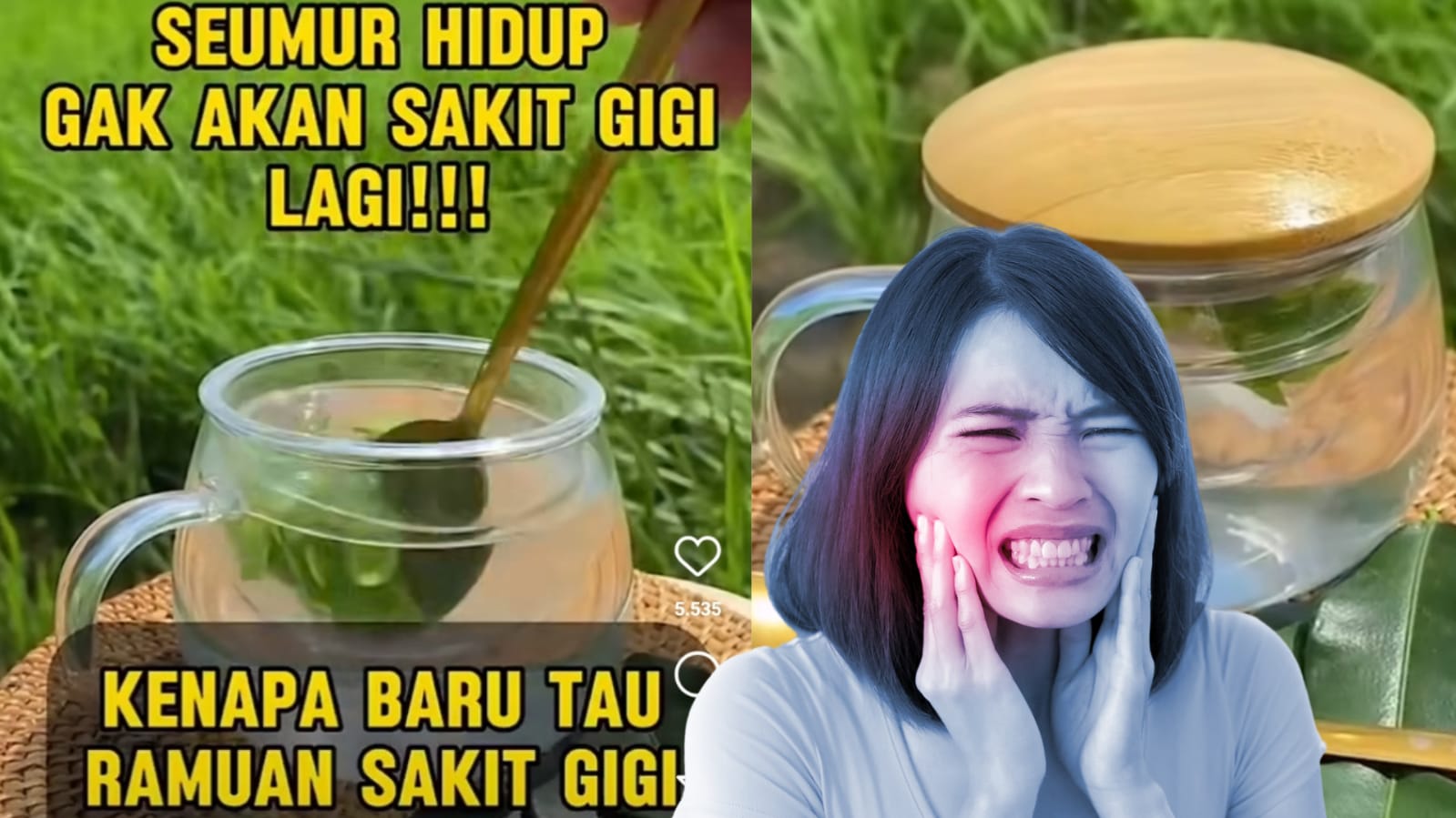 Daun Jeruk Campur Garam Ampuh Obati Sakit Gigi, Seumur Hidup Gak Sakit Gigi Lagi