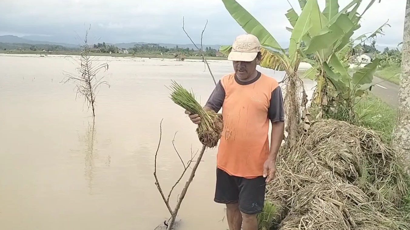 Petani Terdampak Banjir di Pulomajeti Tak Terima Ganti Rugi, Pihak Asuransi Tolak Klaim Kerugian