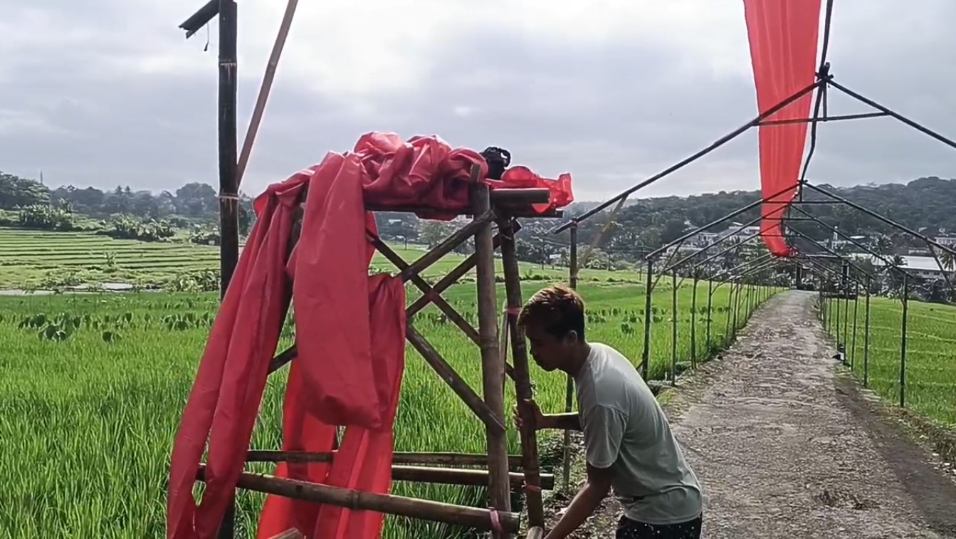 Sambut Hari Kemerdekaan Ke-80, Warga Gotong Royong Hias Kampung Dengan Ornamen Merah Putih