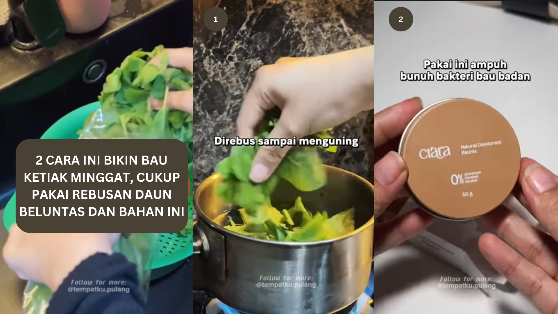 2 Cara Ini Bikin Bau Ketiak Minggat, Cukup Pakai Rebusan Daun Beluntas dan Bahan Ini