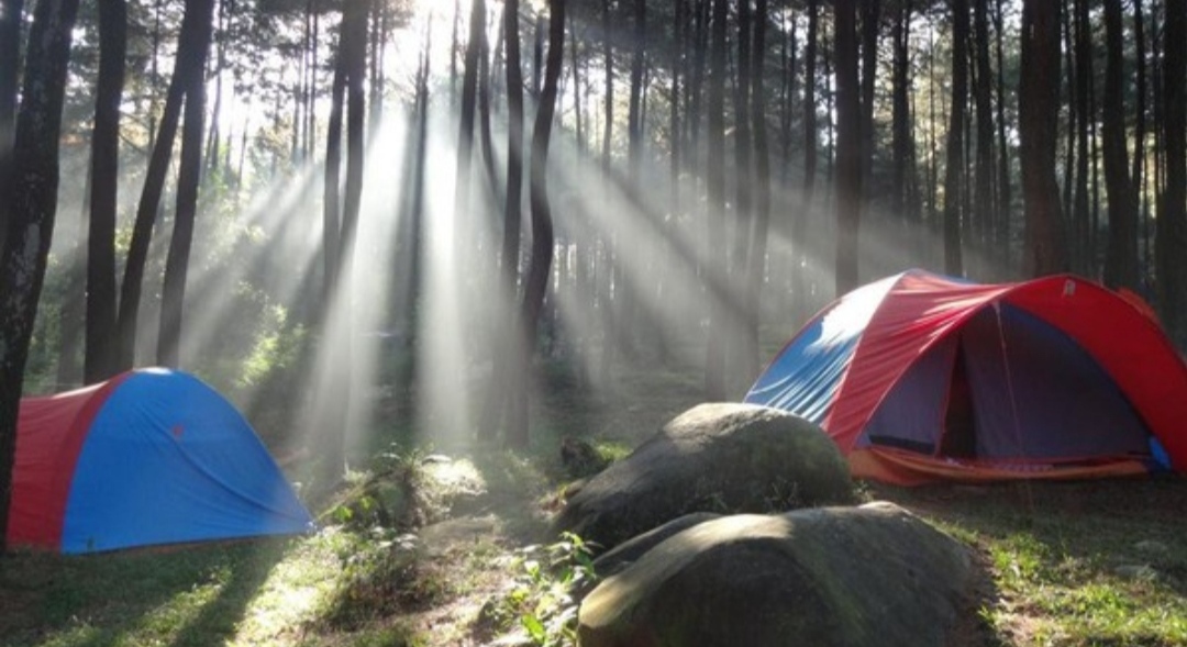 Rekomendasi 3 Destinasi Solo Camping, Dilengkapi Fasilitas Serta Cukup Aman Bagi Pemula