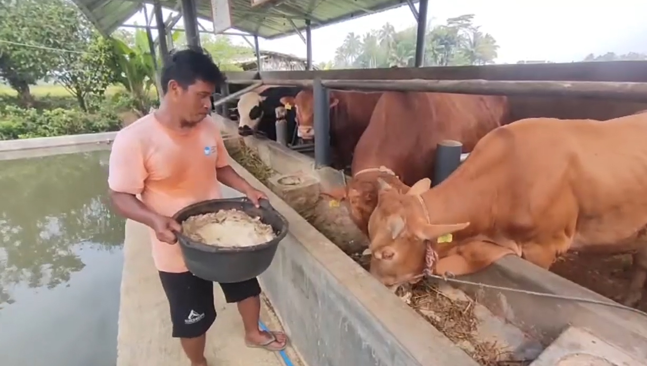 Penjual Hewan Kurban Di Ciamis Kebanjiran Orderan, Segini Harganya Jika Minat Beli