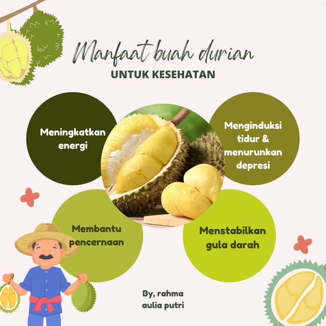 Sangat Manis dan Enak, Ini Dia 5 Jenis Durian yang Populer Di Indonesia