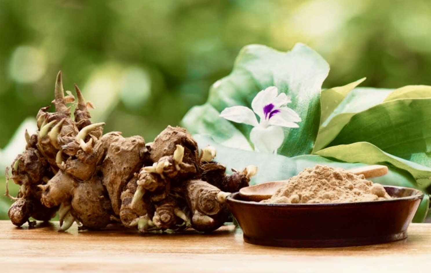 Jangan Remehin Kencur, Ini 5 Manfaat dan Cara Konsumsinya yang Jarang Orang Tahu