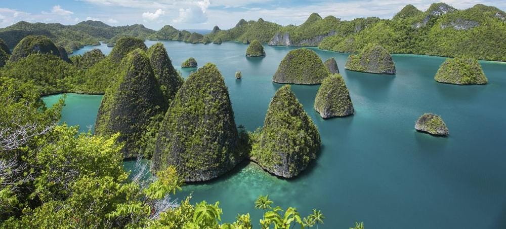 Update Biaya Ke Raja Ampat 2026: Rincian Lengkap dari Tiket hingga Penginapan