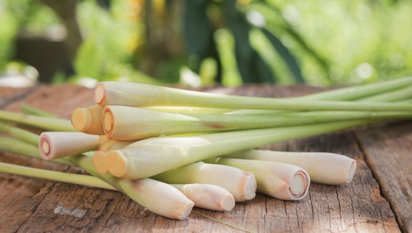 Daun Serai Cuma Buat Teh Hangat? Ternyata Khasiatnya Bikin Kaget!