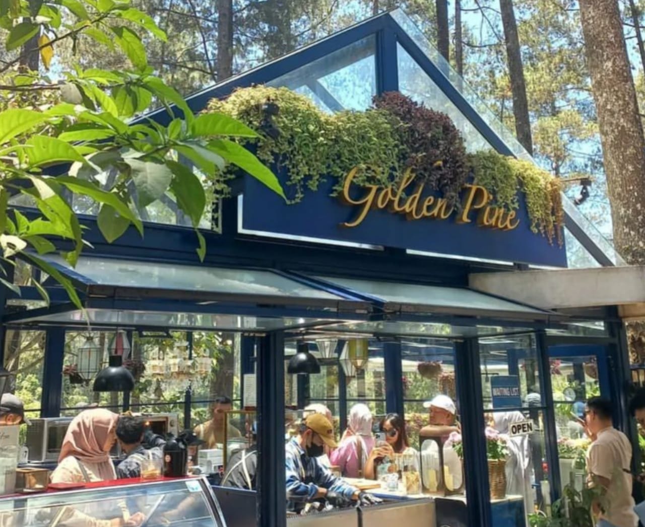 Golden Pine, Pesona Kafe Kaca di Tengah Keindahan Orchid Forest Cikole Bandung