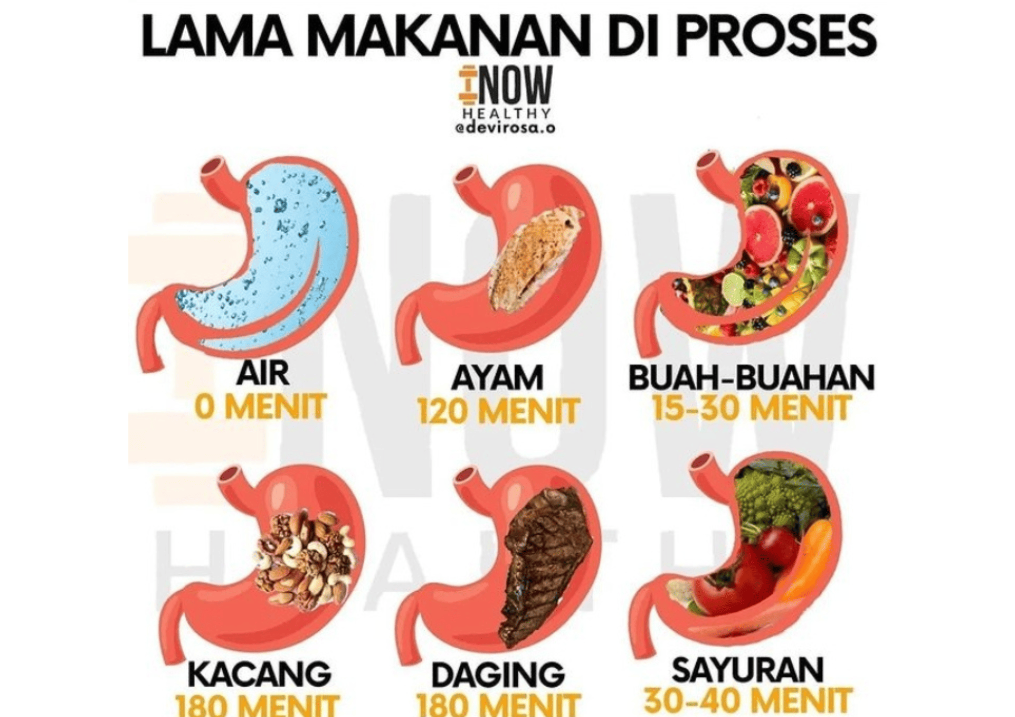 Mengapa Makanan Bisa Bertahan Lama di Lambung? Yuk Temukan Jawabannya di Sini