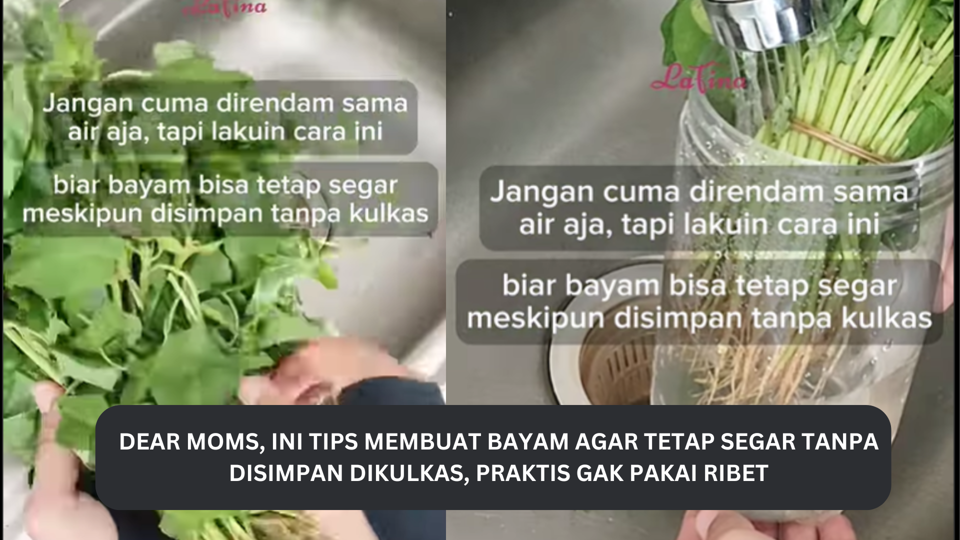 Dear Moms, Ini Tips Membuat Sayur Bayam Tetap Segar Tanpa Disimpan Dikulkas, Praktis Gak Pakai Ribet 