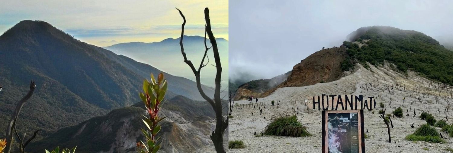 Gunung Papandayan: Surga Tersembunyi di Tanah Garut, Cocok Dikunjungi oleh Pendaki Pemula