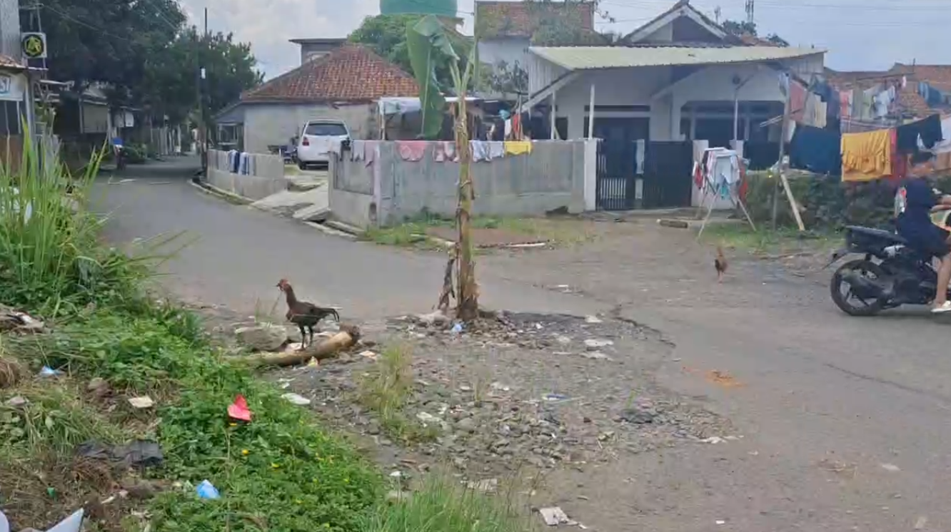 Perbaikan Jalan Rusak di Sambongpari Harus Libatkan BBWS, Sebelum Perbaikan Jalan Harus Perbaiki Sifon