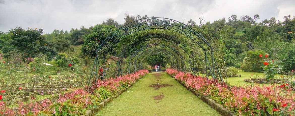 Update Wisata Garut 2026: Keindahan Taman Mawar yang Semakin Mempesona