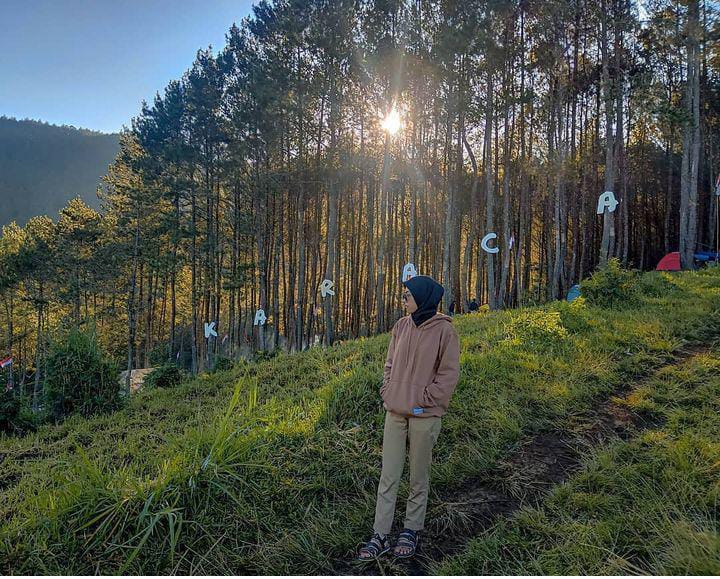 Keindahan Hutan Vinus Karacak Valley