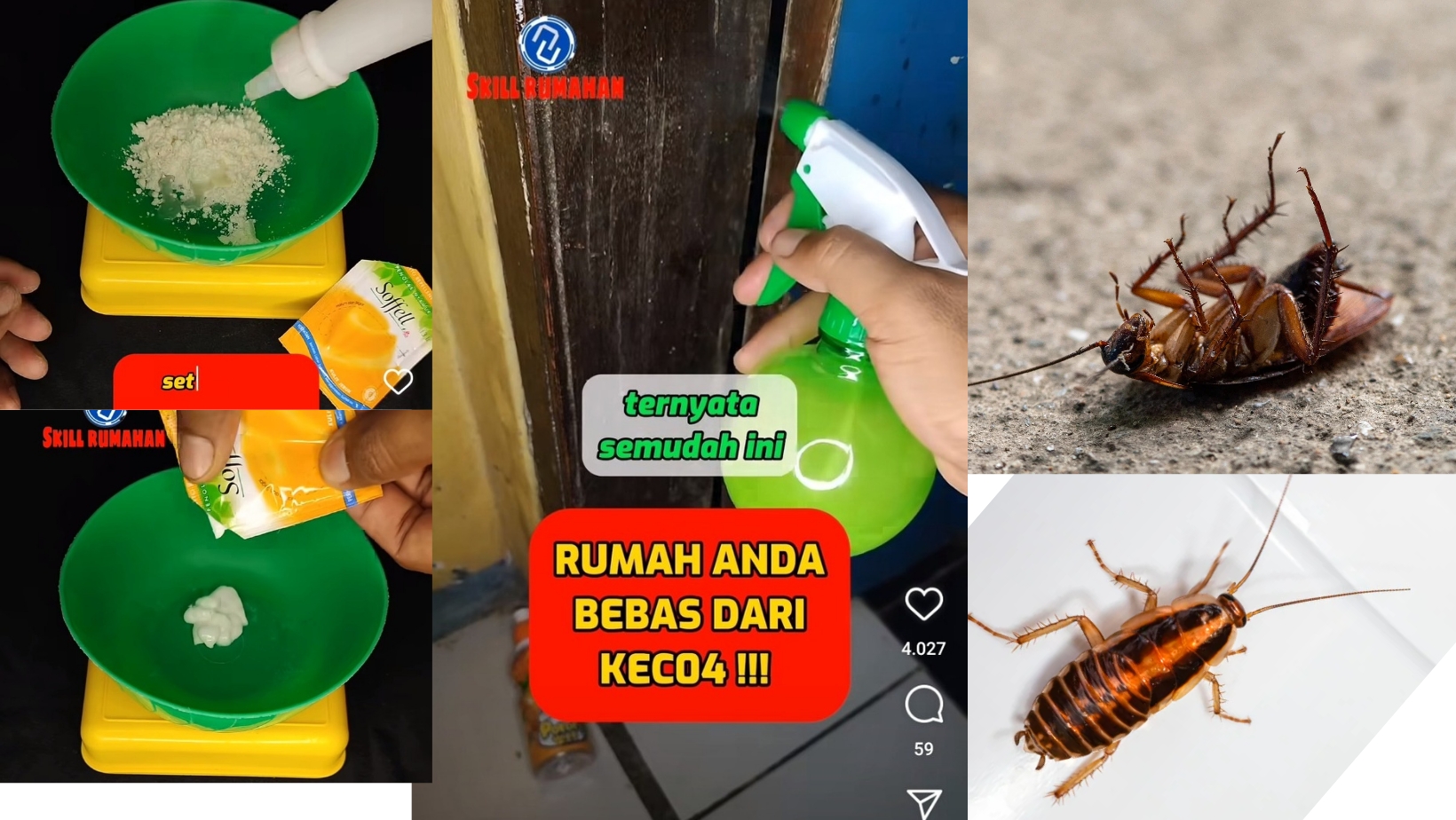 Ide Kreatif Usir Kecoak Dengan Lotion Anti Nyamuk, Cukup Tambah 2 Bahan Ini Kecoak di Rumah Musnah