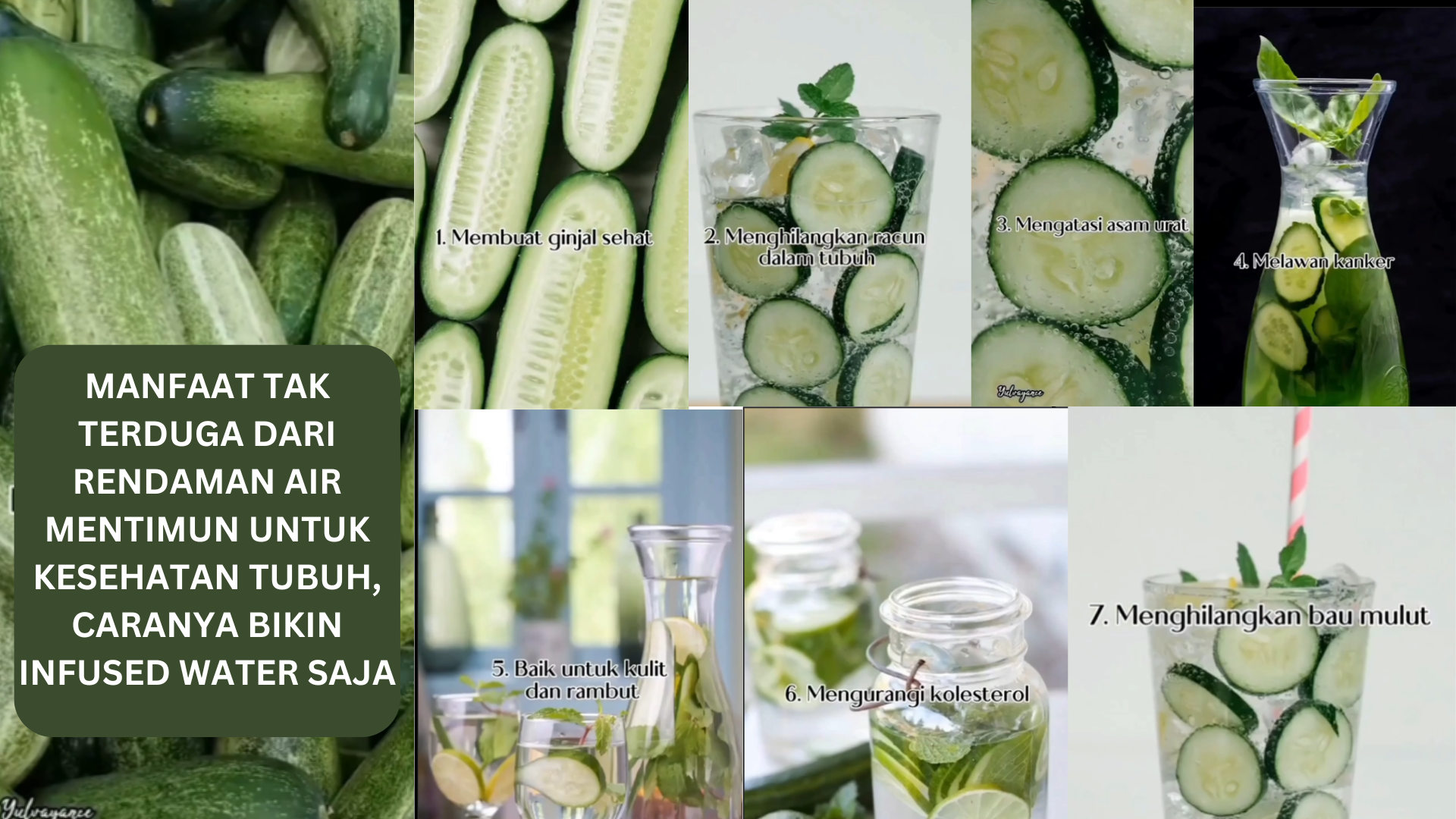 Manfaat Tak Terduga Dari Rendaman Air Mentimun Untuk Kesehatan Tubuh, Caranya Dibikin Infused Water Aja