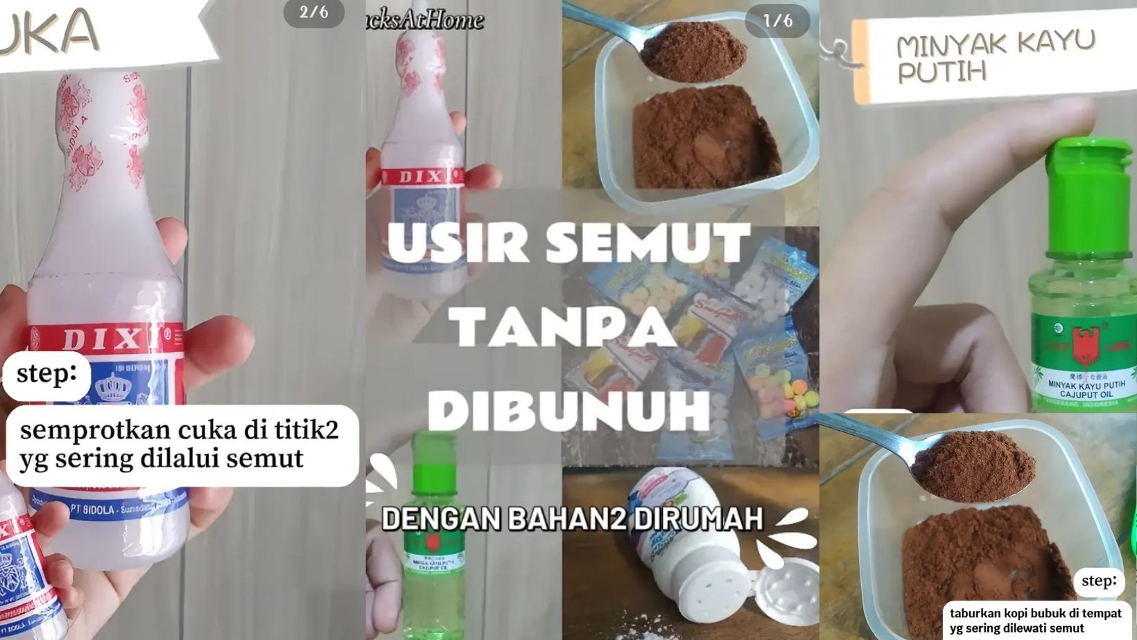 Bahan-Bahan Di Rumah Ini Ampuh Usir Semut Tanpa Membunuh, Begini Cara Meraciknya