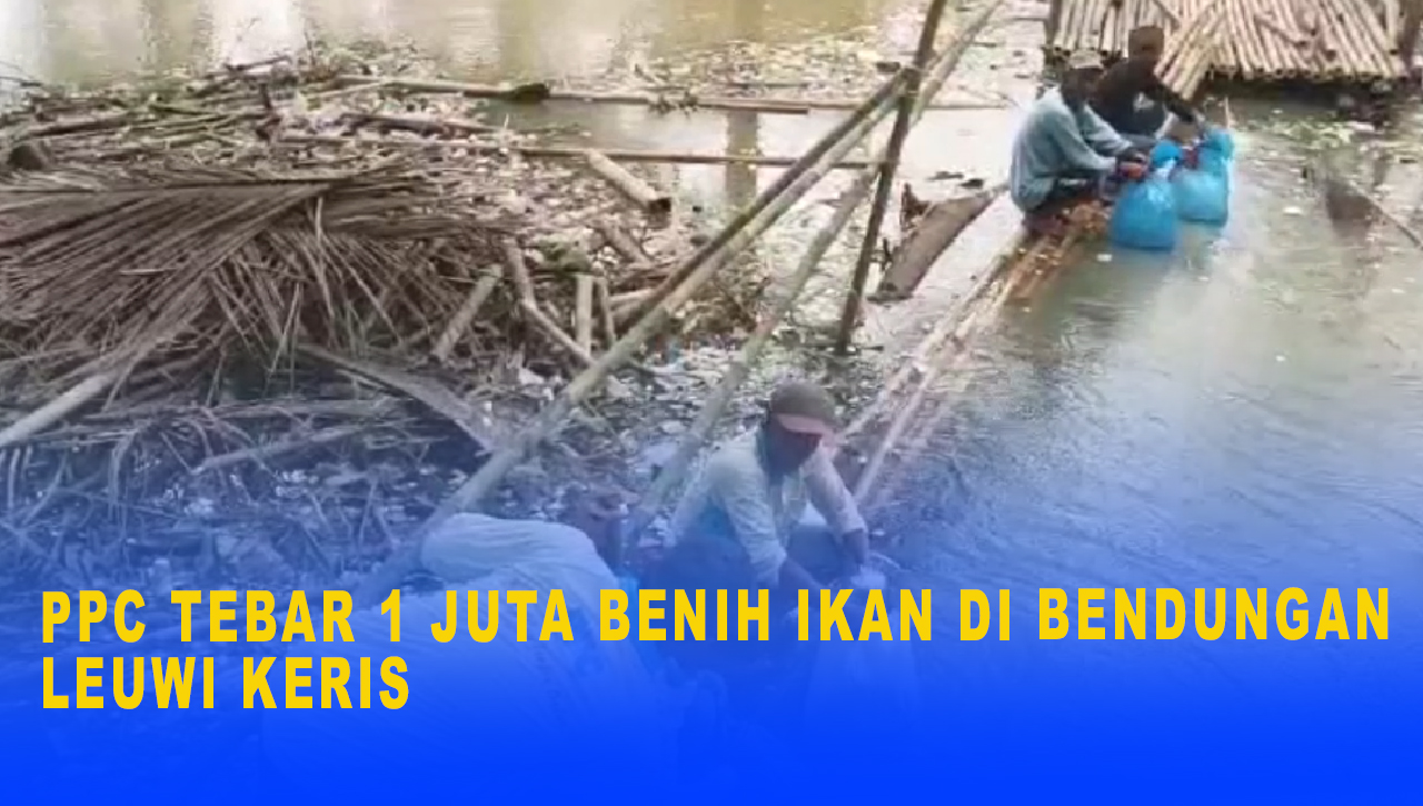 Dongrak Geliat Pariwisata Di Kabupaten Ciamis, PPC Tebar 1 Juta Benih Ikan di Bendungan Leuwi Keris