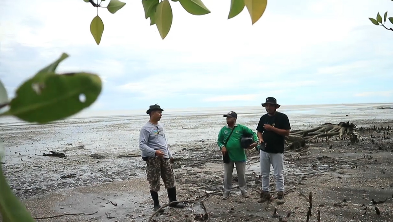 Langkah Perlindungan Hutan Mangrove, Tim Kolaborasi Konservasi Mangrove Dumaring Patroli Pantai