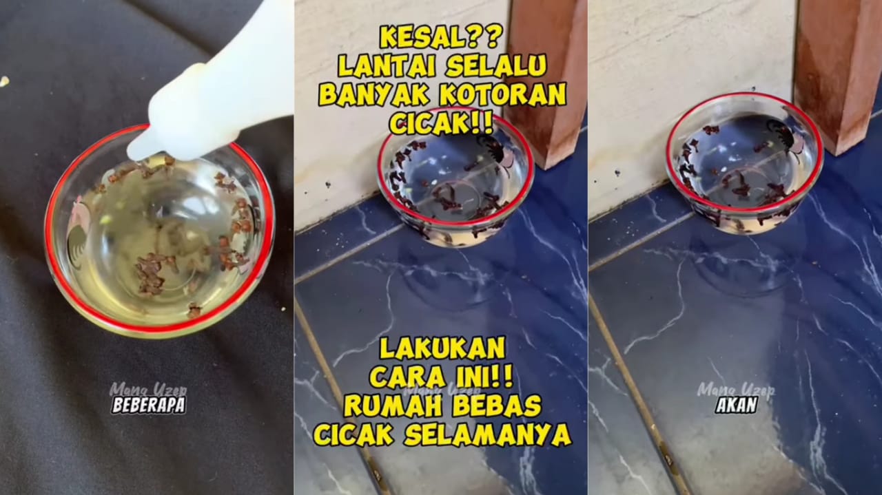 Kesal Lantai Selalu Banyak Kotoran Cicak? Lakukan Cara Ini Agar Kotoran Cicak Musnah Selamanya