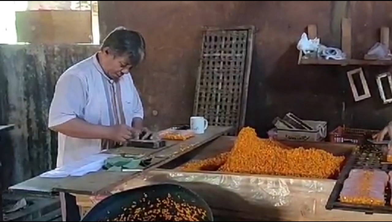 Harga Kacang Kedelai Di Kabupaten Ciamis Fluktuatif, Perajin Tempe Meradang