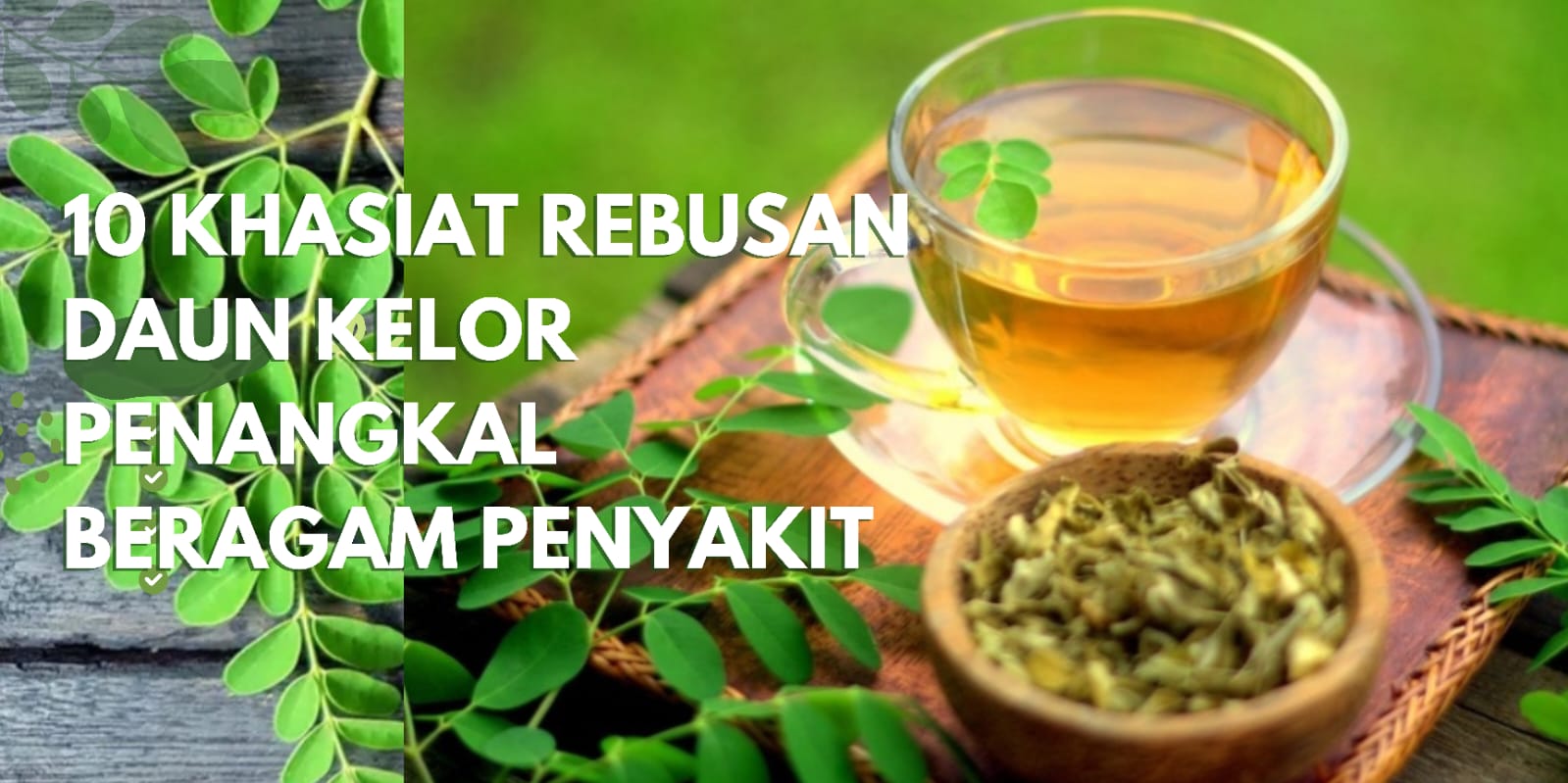 Khasiat Rebusan Daun Kelor: Penangkal Alami Beragam Penyakit untuk Kesehatan Optimal