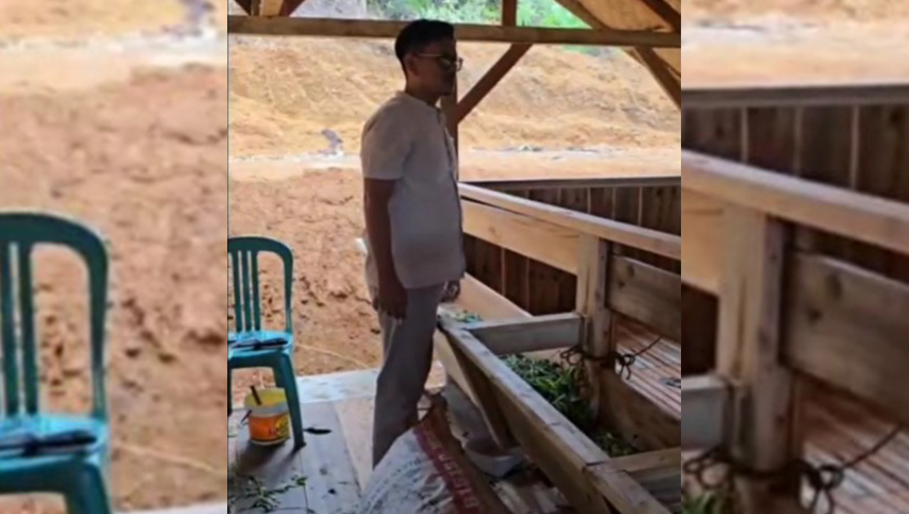 Pemuda Tasik Sulap Lahan Tandus Jadi Kebun Biomassa, Inovasi Tanaman Indigofera Jadi Proyek Percontohan