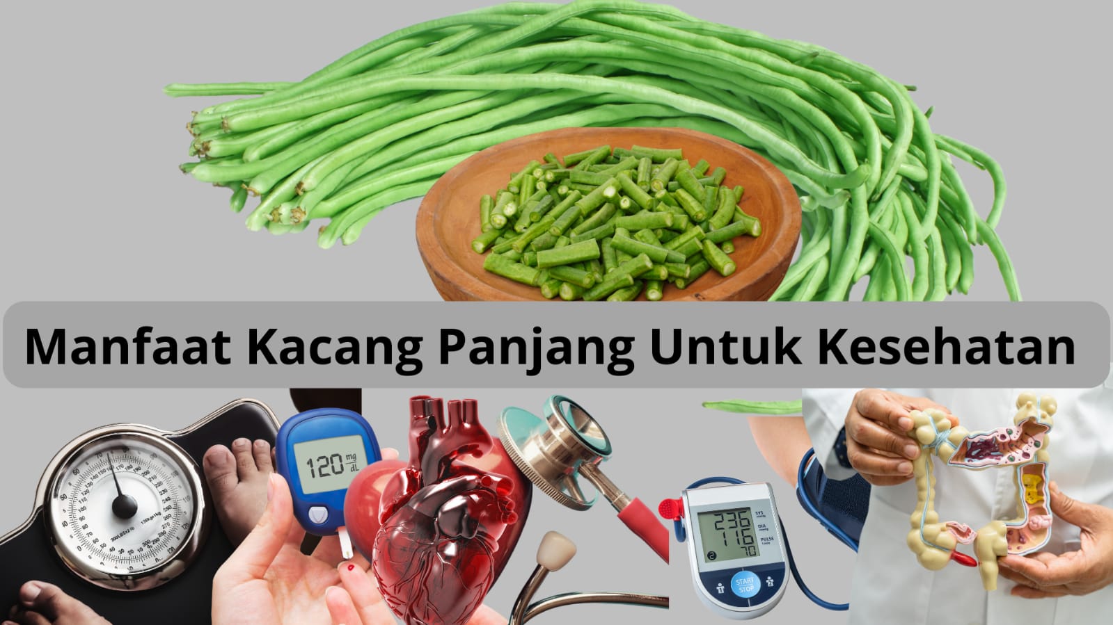 Gak Sekadar untuk Bahan Sayuran, Ternyata Ini 5 Manfaat Kacang Panjang untuk Kesehatan Tubuh Yuk Simak...