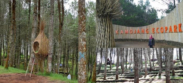 Wajah Baru Kamojang 2026: Fasilitas, Rute, dan Harga Tiket Terbaru