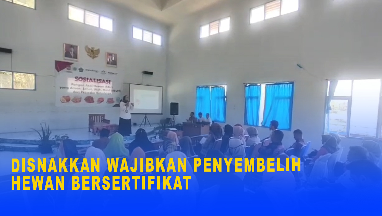 Disnakkan Ciamis Wajibkan Penyembelih Hewan Bersertifikat