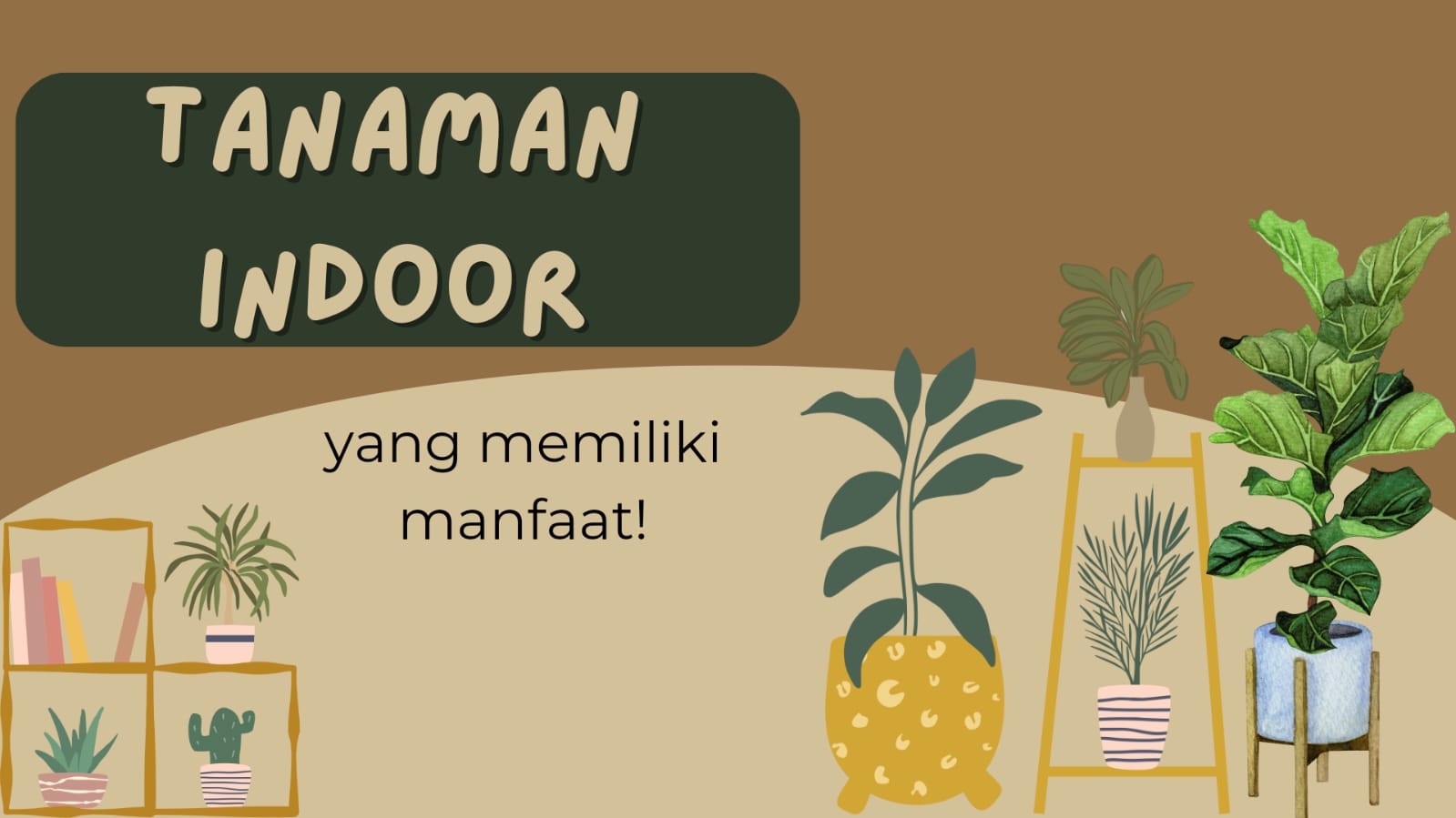 10 Jenis Tanamah Indoor, Selain Jadi Hiasan Ternyata Ada Manfaatnya Loh!