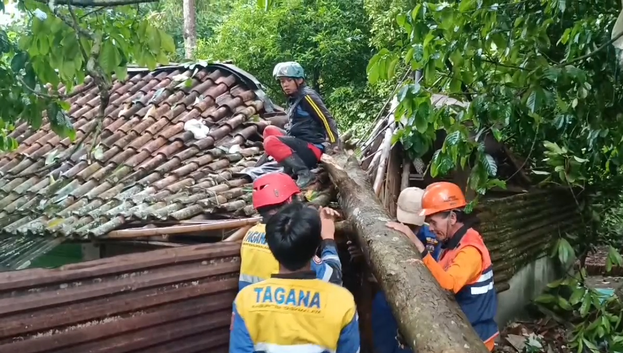 Hujan Angin Terjang Sukaraja, Belasan Rumah Rusak, Pohon Tumbang Tutup Jalan, Petugas Lakukan Evakuasi