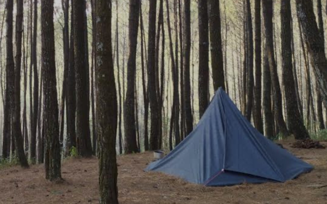 Kisah Mistis Solo Camping Dari Bukit Moko, Terdengar Langkah Orang, Saat Dilihat Ternyata....