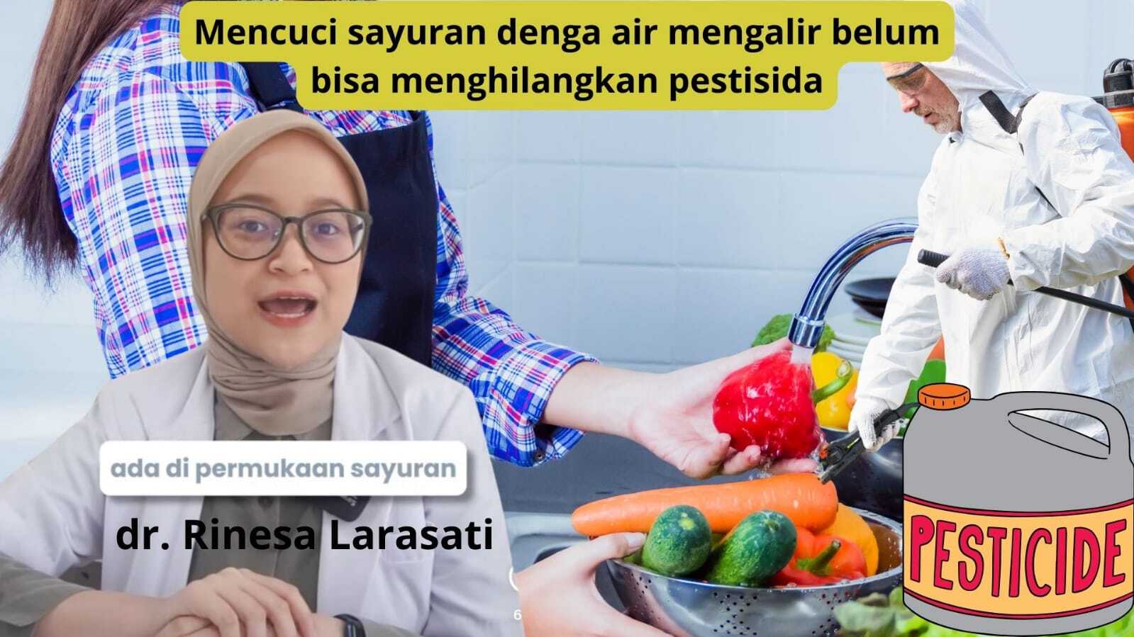 Cuci Buah dan Sayur Pakai Air Tidak Cukup? Lakukan Ini Agar Buah dan Sayuran yang Kita Makan Bebas Pestisida