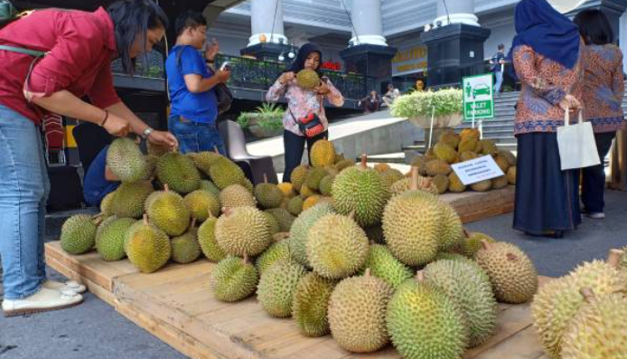 Anti Gagal! Rahasia Jitu Memilih Durian Legit Manis Langsung dari Lapak