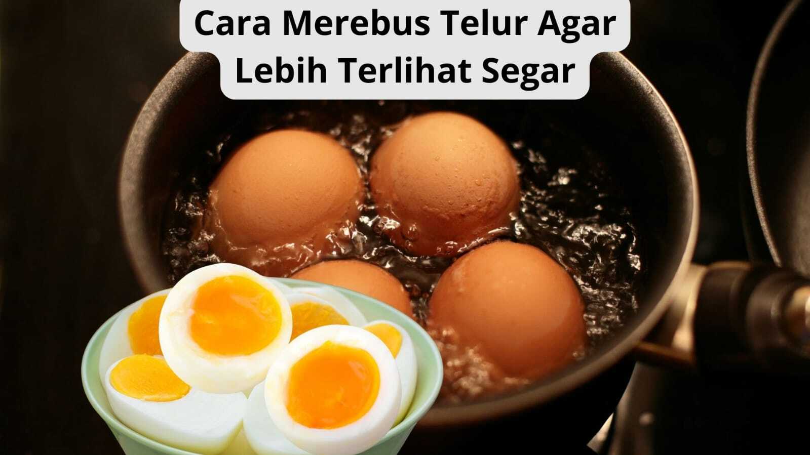 Salah Masak Telur Bisa Sebabkan Kanker? Masukan Bahan Ini Agar Hasil Rebusan Telur Lebih Terlihat Segar