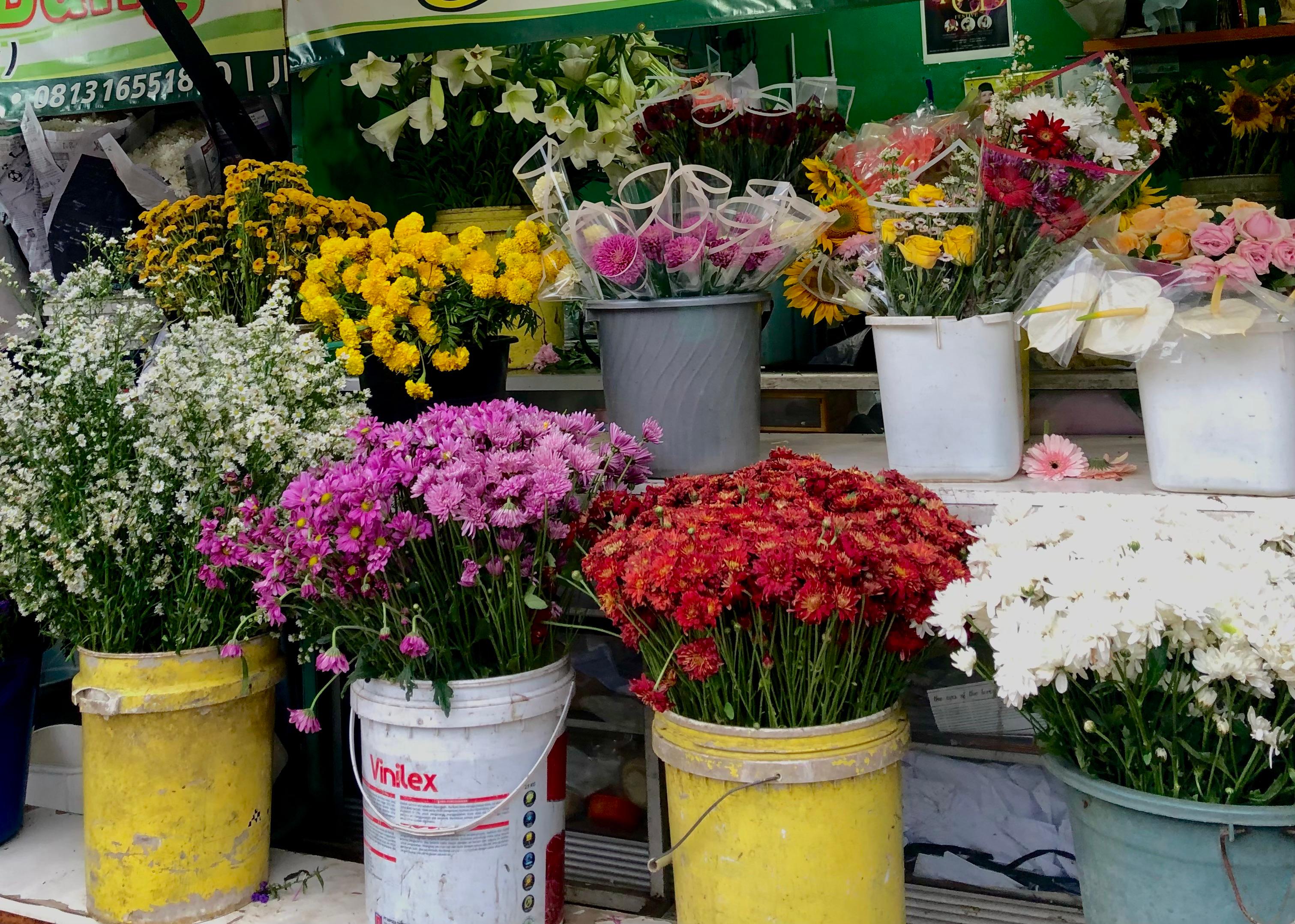 Menjelajahi Pasar Bunga Termurah di Bandung: Tempat Wajib untuk Pecinta Flora, Yuk Simak....