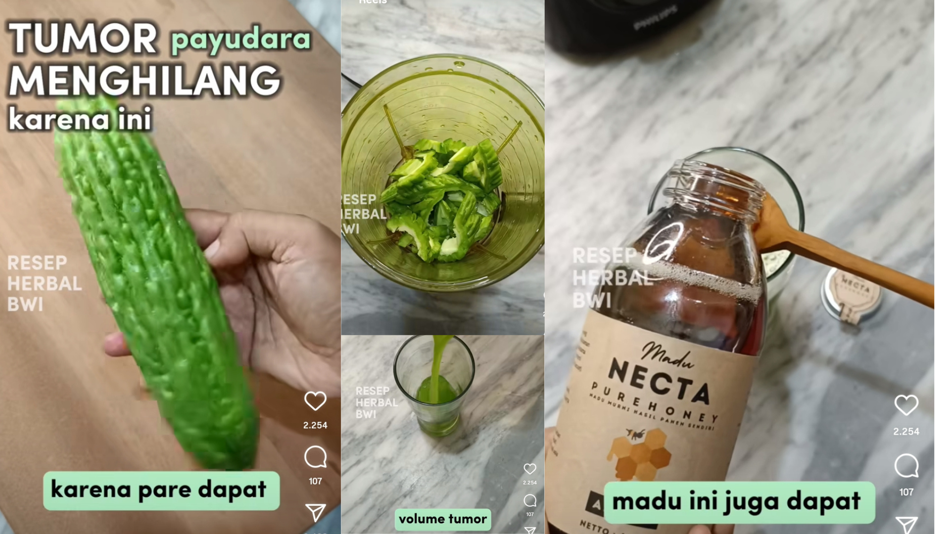 Tumor Payudara Hilang dengan Jus Pare Campur Ini, Hasilnya Sudah Dibuktikan Oleh Yang Rutin Meminumnya