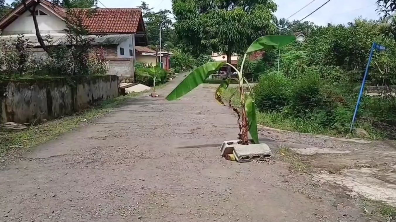 Protes Jalan Rusak, Warga Neglasari Bertani di Jalan: Kesal 9 Tahun Jalan Alternatif Tak Kunjung Diperbaiki
