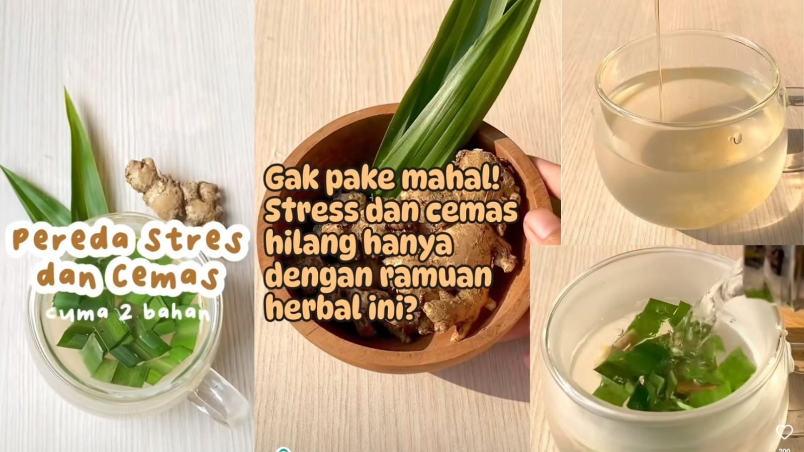 Raja Herbal Pereda Stres dan Cemas, Cukup Pakai 2 Bahan Ini, Pikiran Jadi Plong