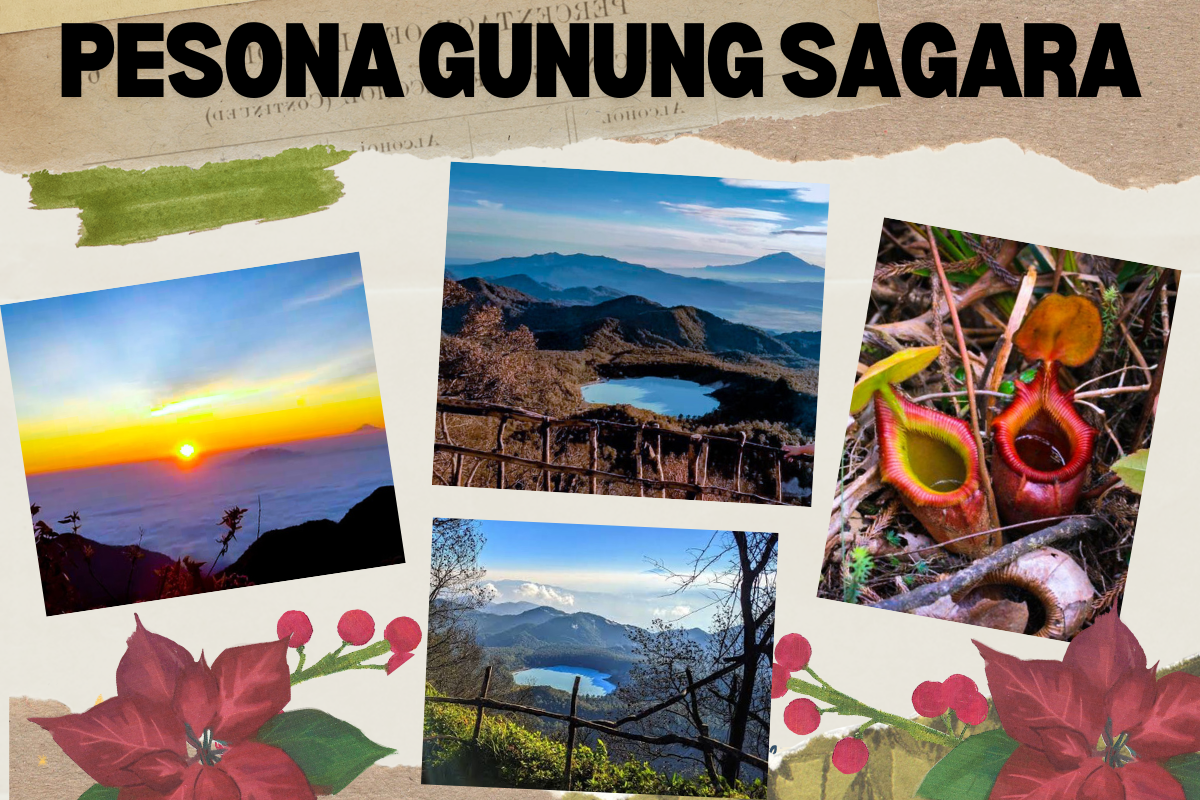 Pesona Gunung Sagara, Hadirkan Panorama Talaga Bodas dari Puncak dan Kelestarian Kantong Semar