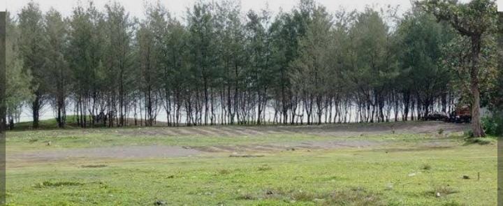 Update Harga Tiket Masuk Pantai Cemara Pangkalan 2026: Liburan Hemat di Tasikmalaya Selatan