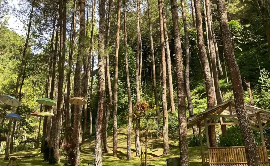 Update 2026: Surga Tersembunyi di Sumedang, Pesona Alam dan Kedamaian Camping di Wisata Alam Cipacet