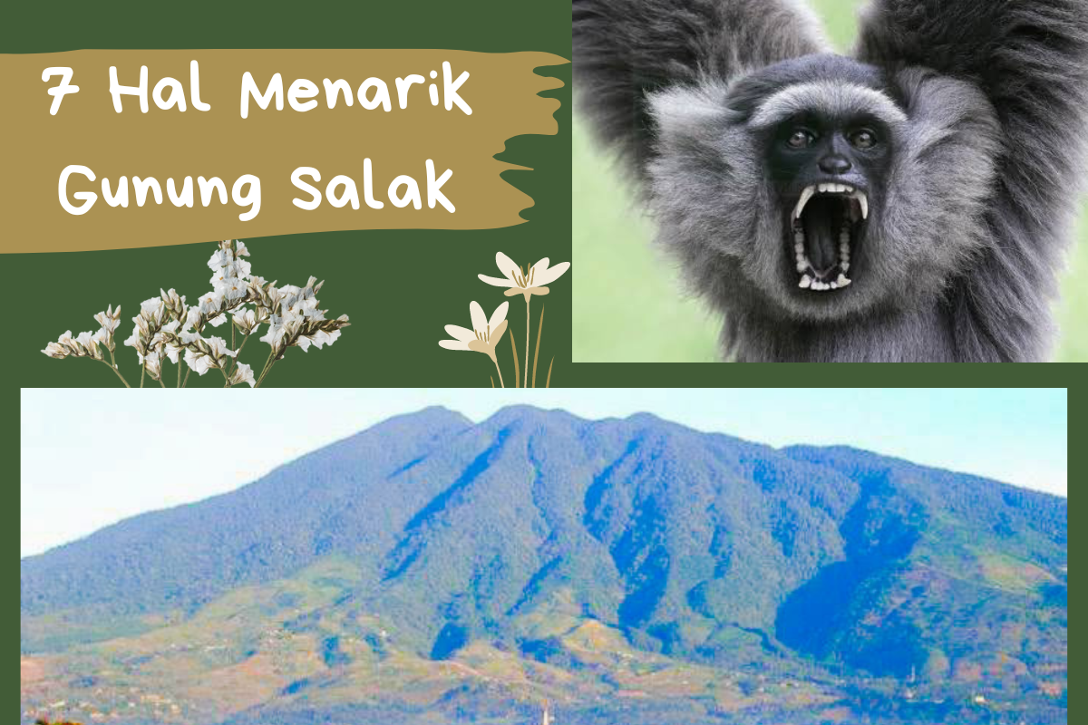 7 Alasan yang Membuat Gunung Salak Begitu Menarik yang Jadi Habitat Owa Jawa